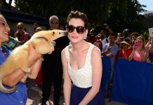 Anne Hathaway, su belleza enamora hasta a los animales