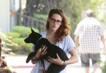 Kristen Stewart necesita la ayuda de Robert Pattinson para adoptar un perro