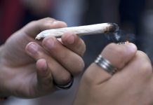 Científicamente probado: La marihuana lleva a las células cancerígenas al suicidio