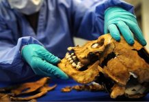 Resuelven el misterio de los cráneos hallados en una fosa común en Londres