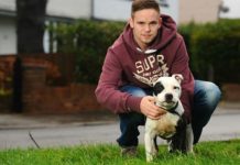 Perro perdido hace 10 años, encontrado por sus dueños un día antes de ser sacrificado