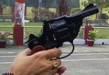 Lanzan en la India una pistola para mujeres en honor a la joven violada
