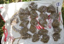 Capturan a chavalos con marihuana