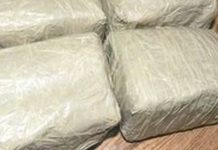 Colombia: decomisan casi 700 kilos de cocaína