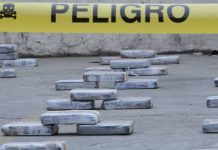 Decomisan en Ecuador cerca de una tonelada de droga