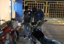 Se jetean y los agarran como peluches