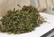 Autoridades mexicanas incautan 2 toneladas de marihuana en frontera con EEUU