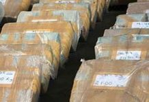Capturan cerca de una tonelada de droga en Ecuador
