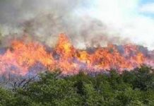Incendio en el centro de Cuba causa estragos