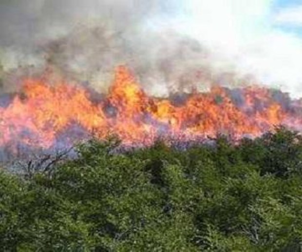 images_SECCIONES_PAGINA_WEB_ULTIMA_HORA_2014_MARZO_10_AL_16_incendio-cuba-13032014