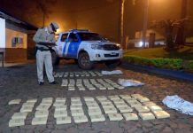 Paraguay decomisa 291 kilos de cocaína