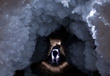 Científicos rusos descubren un virus gigante en el antiguo permafrost en Siberia