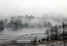Estalla incendio en bosque de suroeste de China