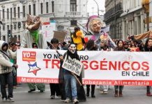 El Gobierno chileno retira la tramitación de la polémica ‘Ley Monsanto’