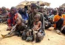 Fuerza africana declara la guerra a milicia centroafricana