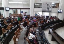 Libre visado diplomático con Indonesia