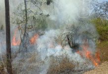 Carazo: Fuerte incendio amenaza con propagarse