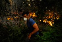 Dos incendios forestales aún activos en Galicia