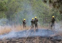 Incendio en Dipilto pudo haber sido provocado por mano criminal
