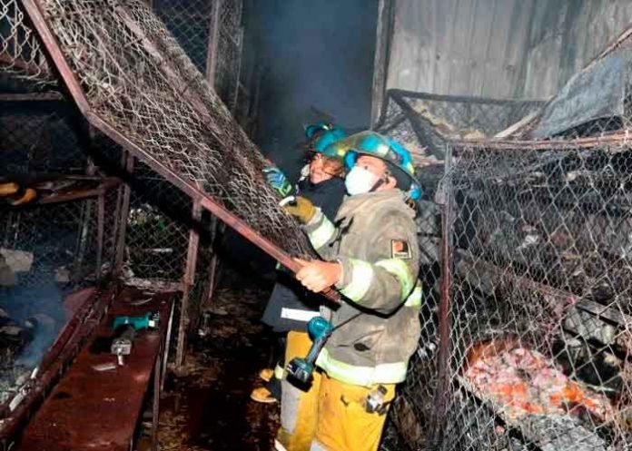 el salvador, usululan, incendio, consumo, locales, mercado,