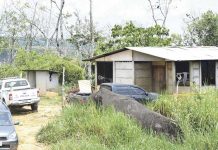 Costa Rica: Niña de 9 años muere en incendio