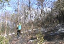 Incendio forestal en Volcán Maderas reduce a cenizas más de 5 hectáreas de bosque
