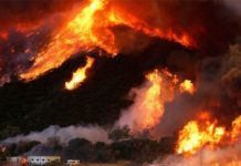 Blue Cut, el incendio más voraz en EE.UU.