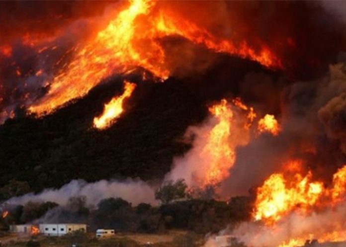 incendio6