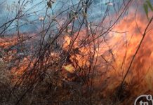 Humo afecta a pobladores de Praderas de Sandino