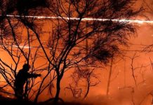 Suman 34 detenidos en Portugal por provocar incendios