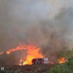 estados unidos, incendios, medio ambiente, ola de calor,