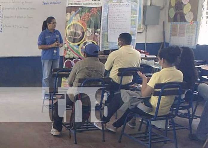 nicaragua, nandaime, inseminacion artificial, bovino, curso,