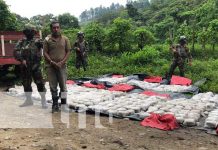 Más de 1 mil óvulos de marihuana incauta el Ejército de Nicaragua en Jalapa nicaragua, incautacion, marihuana, jalapa, drogas, ejercito,