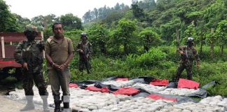 nicaragua, incautacion, marihuana, jalapa, drogas, ejercito,