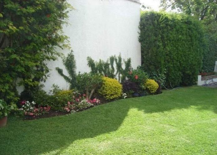 jardin