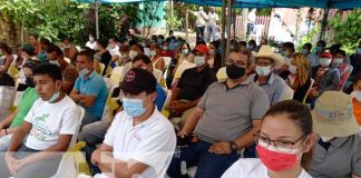 nicaragua, jinotega, reforestacion, lad concoria, medio ambiente,