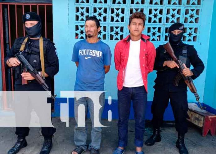 Nicaragua, jinotega, policía nacional, plantas de marihuana,