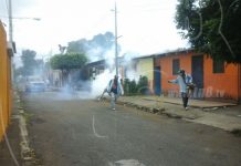 Jornada de fumigación se desarrolla con eficacia
