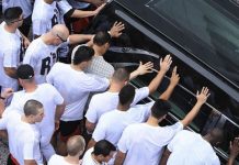 José Fernández recordado como figura trascendental