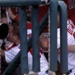 MLB: Harper y Papelbon se fueron a los golpes
