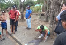 Capturan a par de ladrones en barrios de Managua