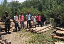 Caen depredadores ambientales en Chinandega