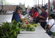 Realizan exitosa feria del medio ambiente en Matagalpa