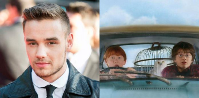liam-carro-potter