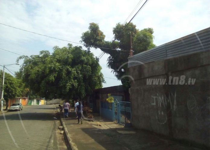 limpi02