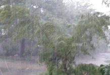 Onda tropical #25 sale del país causando lluvias ligeras