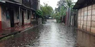 costa rica, inundaciones, casa, comercios, lluvias, autoridades,