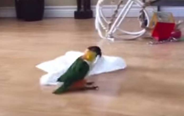 loro