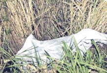 Hallan cadáver de vendedor de lotería en Costa Rica