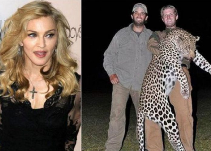 madonna